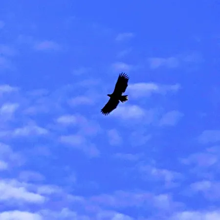 Hotel Vestavind Og Rom As 3*