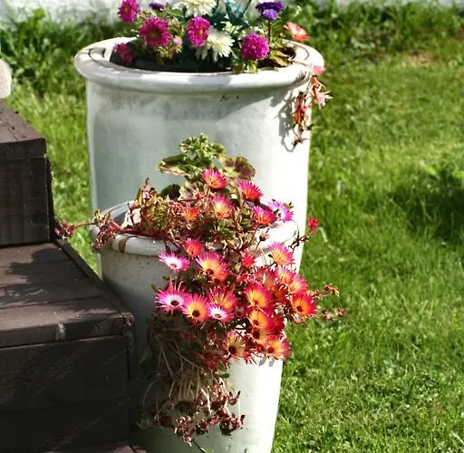 Vestavind Og Rom As 3*